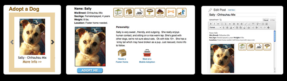 Hopalong Interactive Feature - WordPress Post Editable by Client